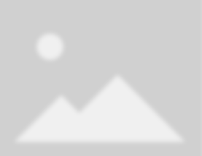 The Florida Stone Surfaces LLC service 1